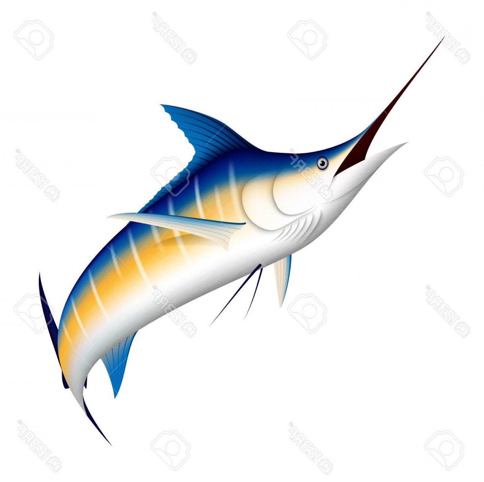 1560x1551 Marlin Fish Vector Eps Geekchicpro