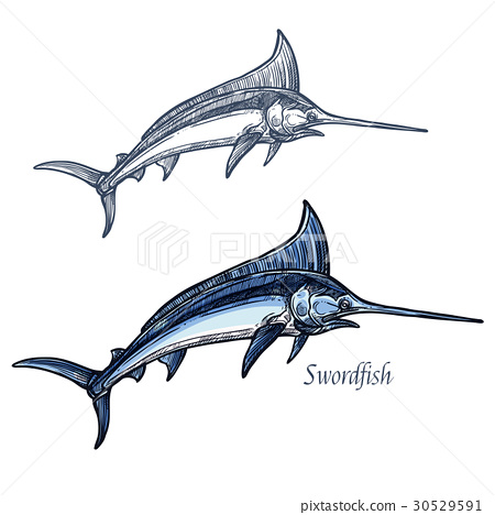450x468 Marlin Fish Vector Isolated Sketch Icon