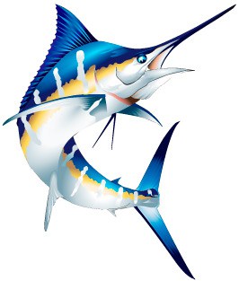 266x313 Billfish Vector Clipart And Png Illustrations Spirit Graphix