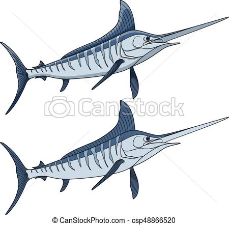 450x442 Colored Illustration Of A Marlin Fish. Isolated Vector Objects