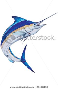 236x362 Marlin Vector 777825