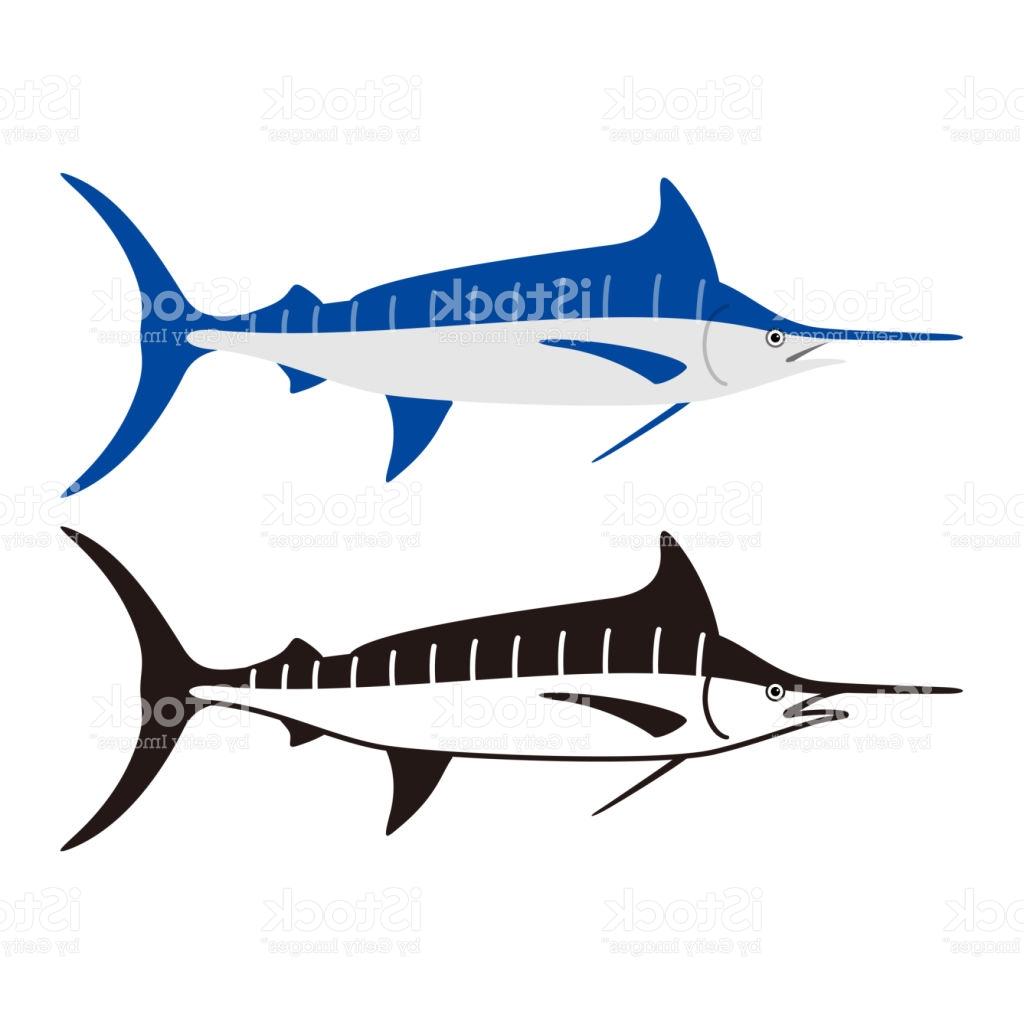 1024x1024 Top 10 Atlantic Blue Marlin Fish Vector Illustration Drawing