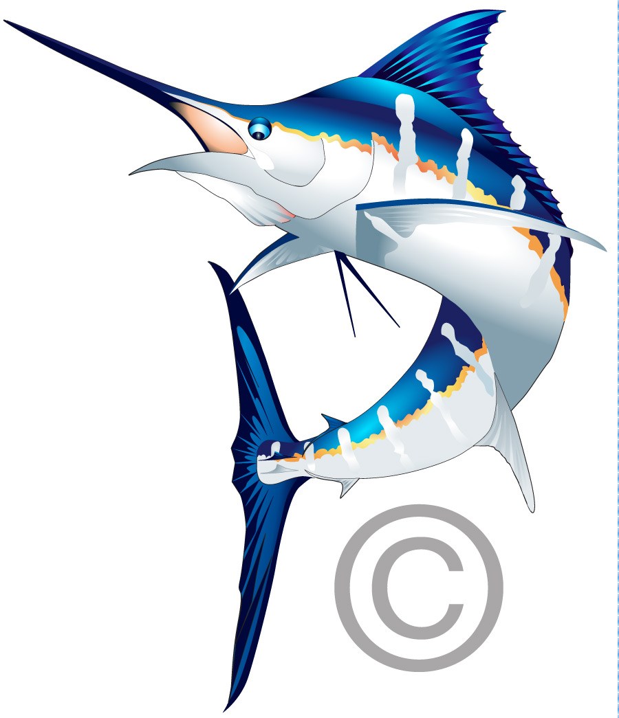 Marlin Vector at GetDrawings | Free download