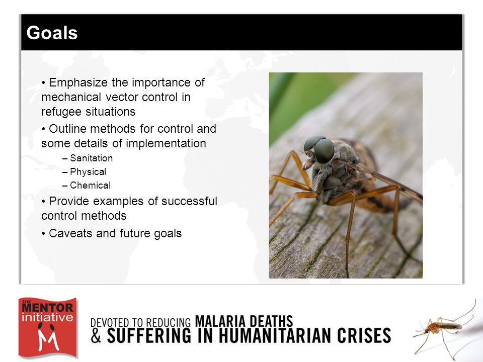 960x720 Controlling Mechanical Vectors Of Diarrheal Disease Jenna Wixon