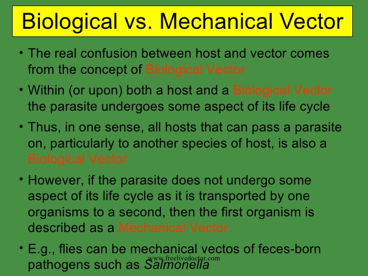 728x546 Introduction To Parasitology