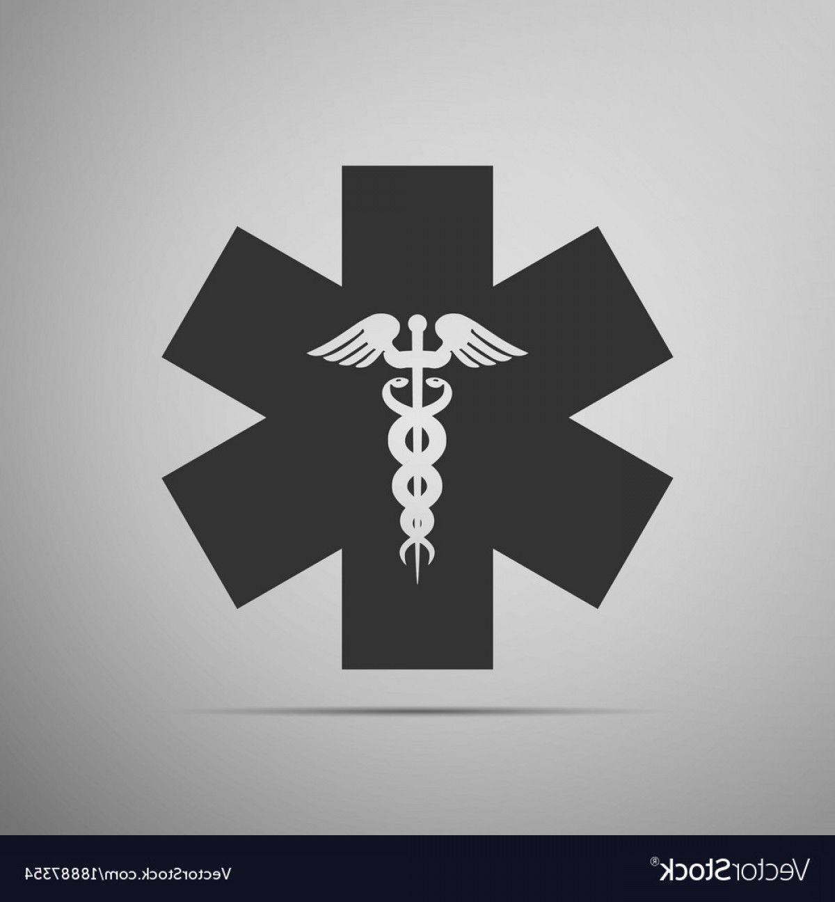 1200x1296 Emergency Star Medical Symbol Caduceus Snake Vector Rongholland