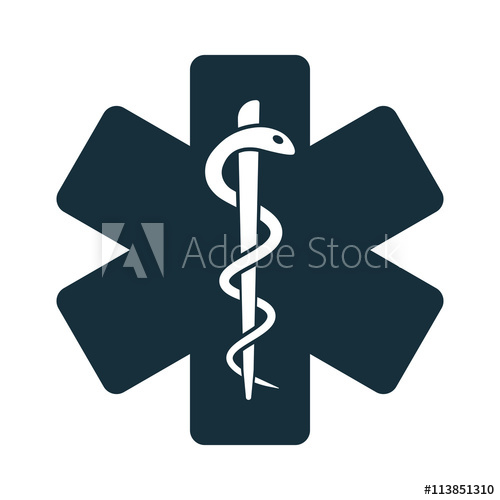 500x500 Life Star Medical Snake Icon