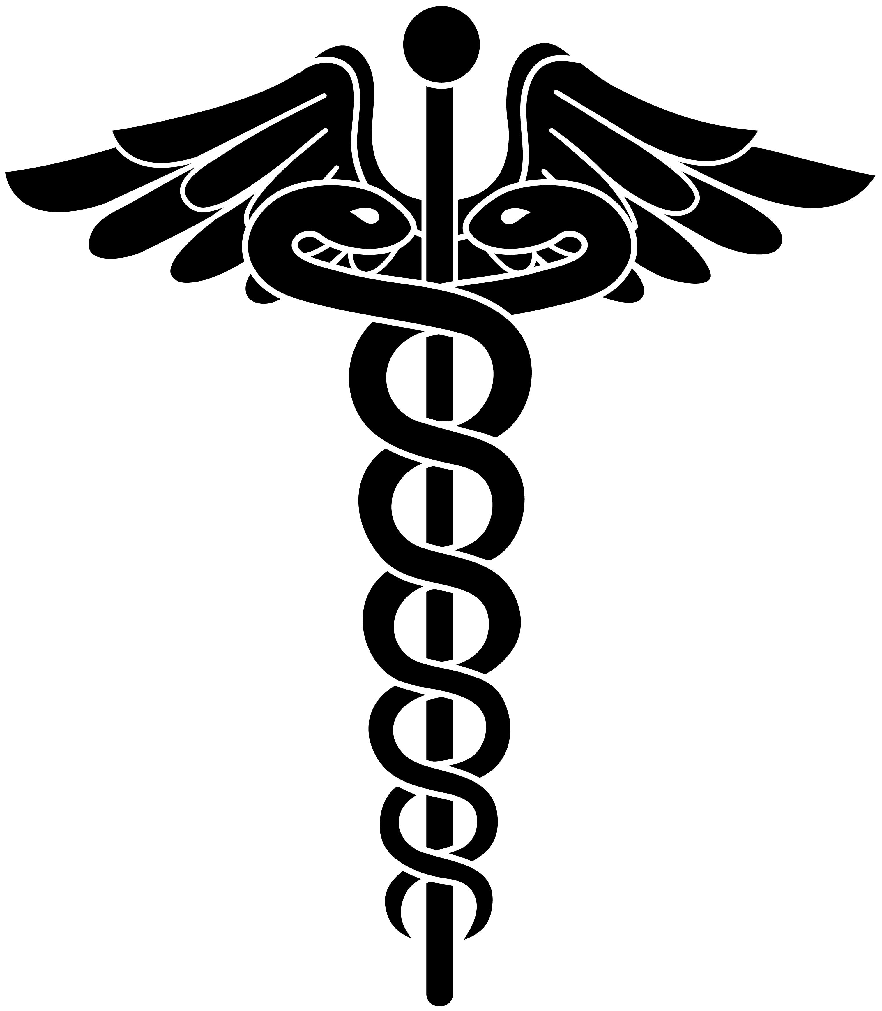 3029x3469 Doctor Symbol Png Transparent Doctor Symbol.png Images. Pluspng