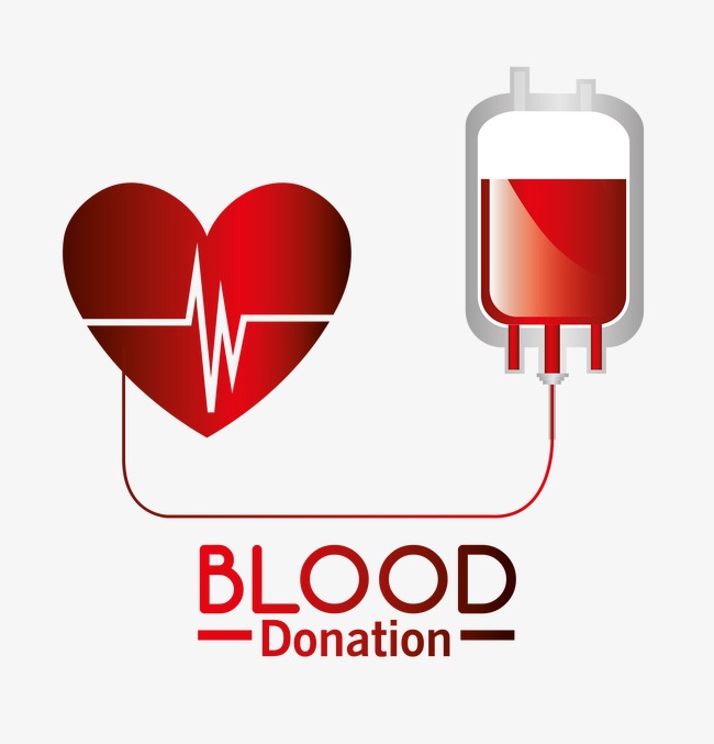 650x677 Blood Donation Of Medical Material, Blood Vector, Medical Vector