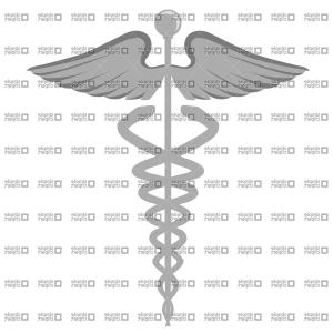 300x300 Caduceus Medical Symbol Vector Clipart Orangiausa