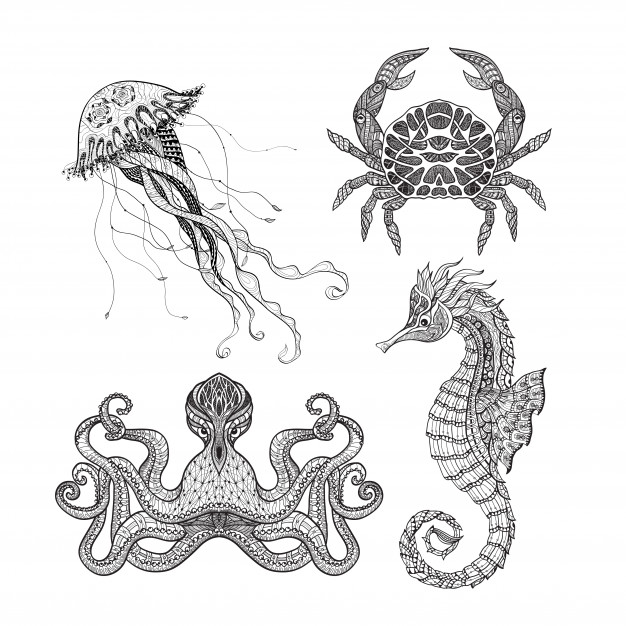 626x626 Medusa Vectors, Photos And Psd Files Free Download