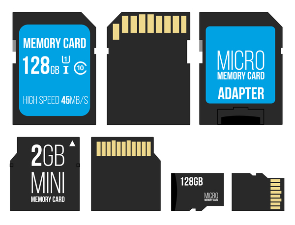 600x458 Micro Memory Card Vector Set Free Download