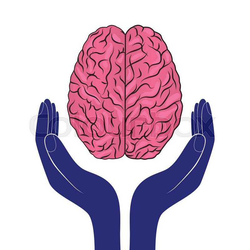 800x800 Mental Health Sign Vector Human Brain As Concept Stock Vector