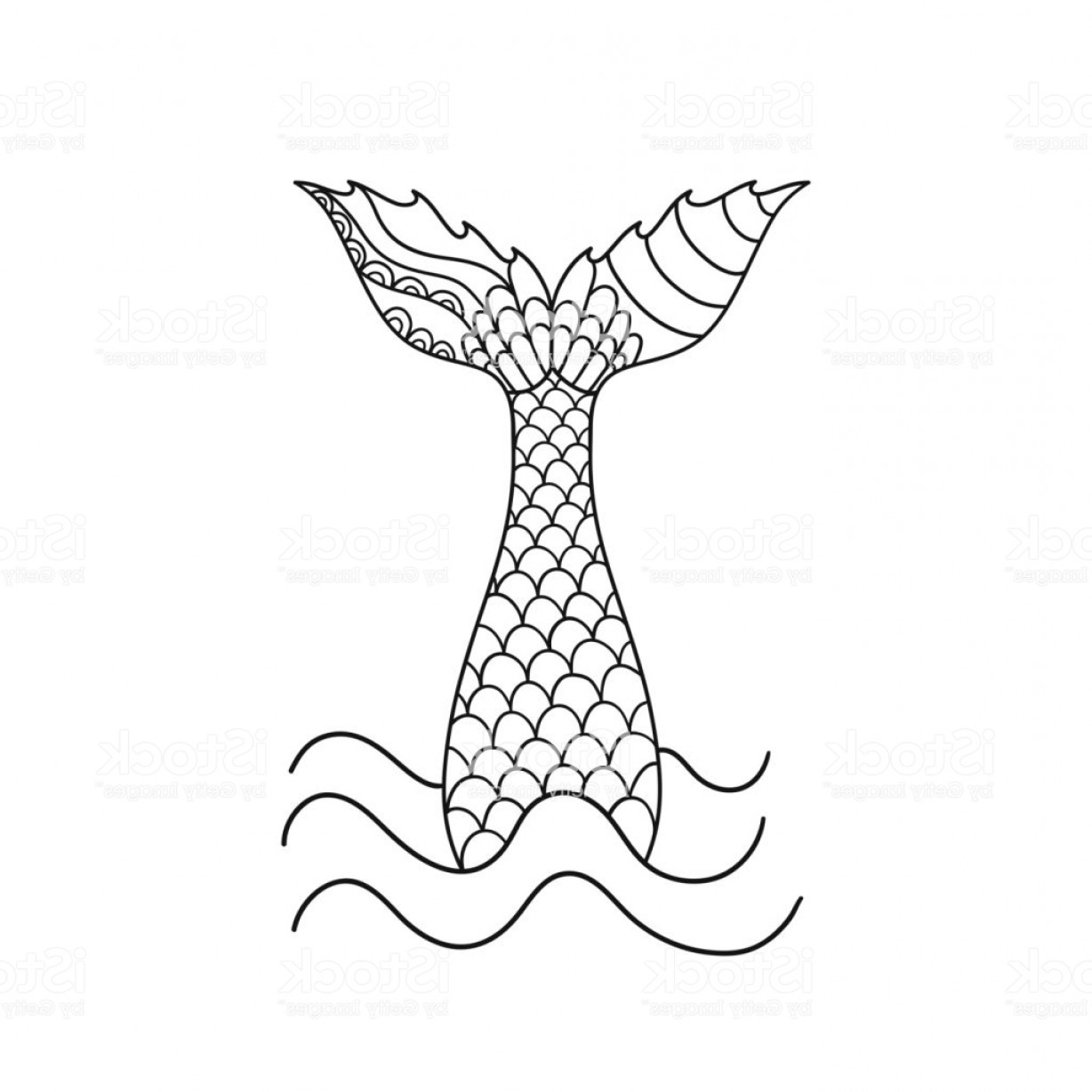 1228x1228 Hand Drawn Ornamental Mermaids Tail Vector Illustration Isolated
