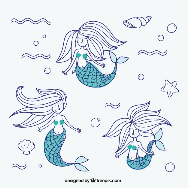 626x626 Mermaid Vectors, Photos And Psd Files Free Download