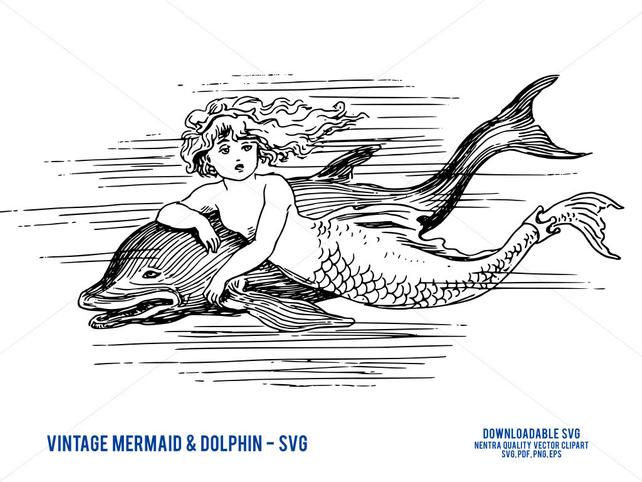 642x482 80% Off Sale Mermaid Drawing Svg Classic Vintage Victorian Etsy