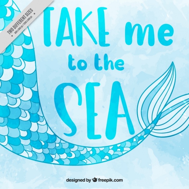 626x626 Mermaid Vectors, Photos And Psd Files Free Download