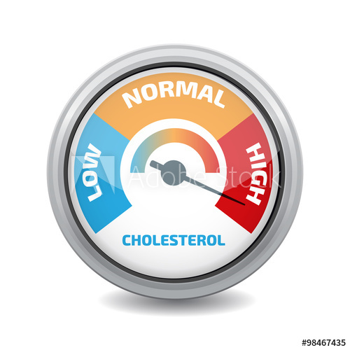 500x500 Cholesterol Meter Vector
