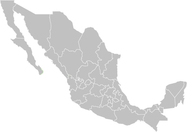 600x424 Mapa Mexico Vector Free Vector In Adobe Illustrator Ai ( .ai