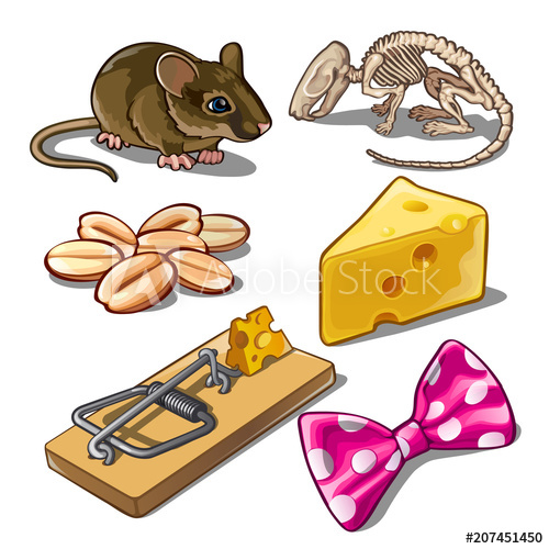 500x500 The Set Of Objects On The Subject Of Catching Mice. Vector