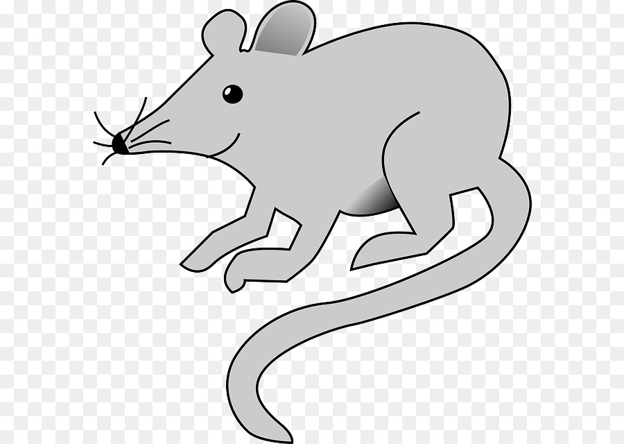 900x640 Computer Mouse Scalable Vector Graphics Clip Art