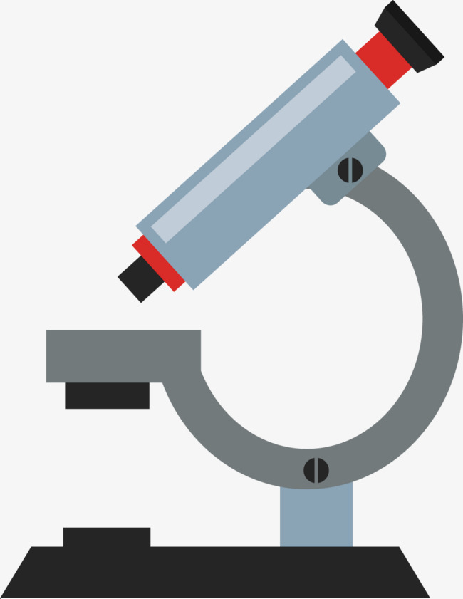 650x841 Microscope Vector, Microscope, Decoration, Material Png And Vector