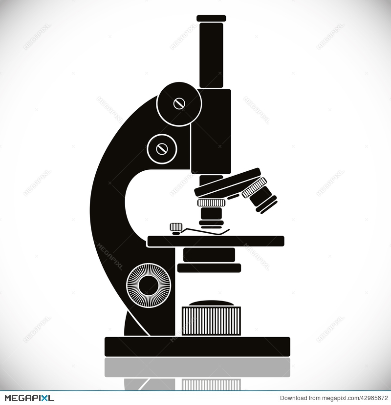 800x830 Microscope Vector Icon. Illustration 42985872