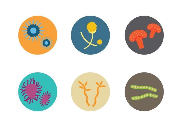700x490 Mold Microscope Vector