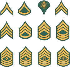 225x216 U.s. Army