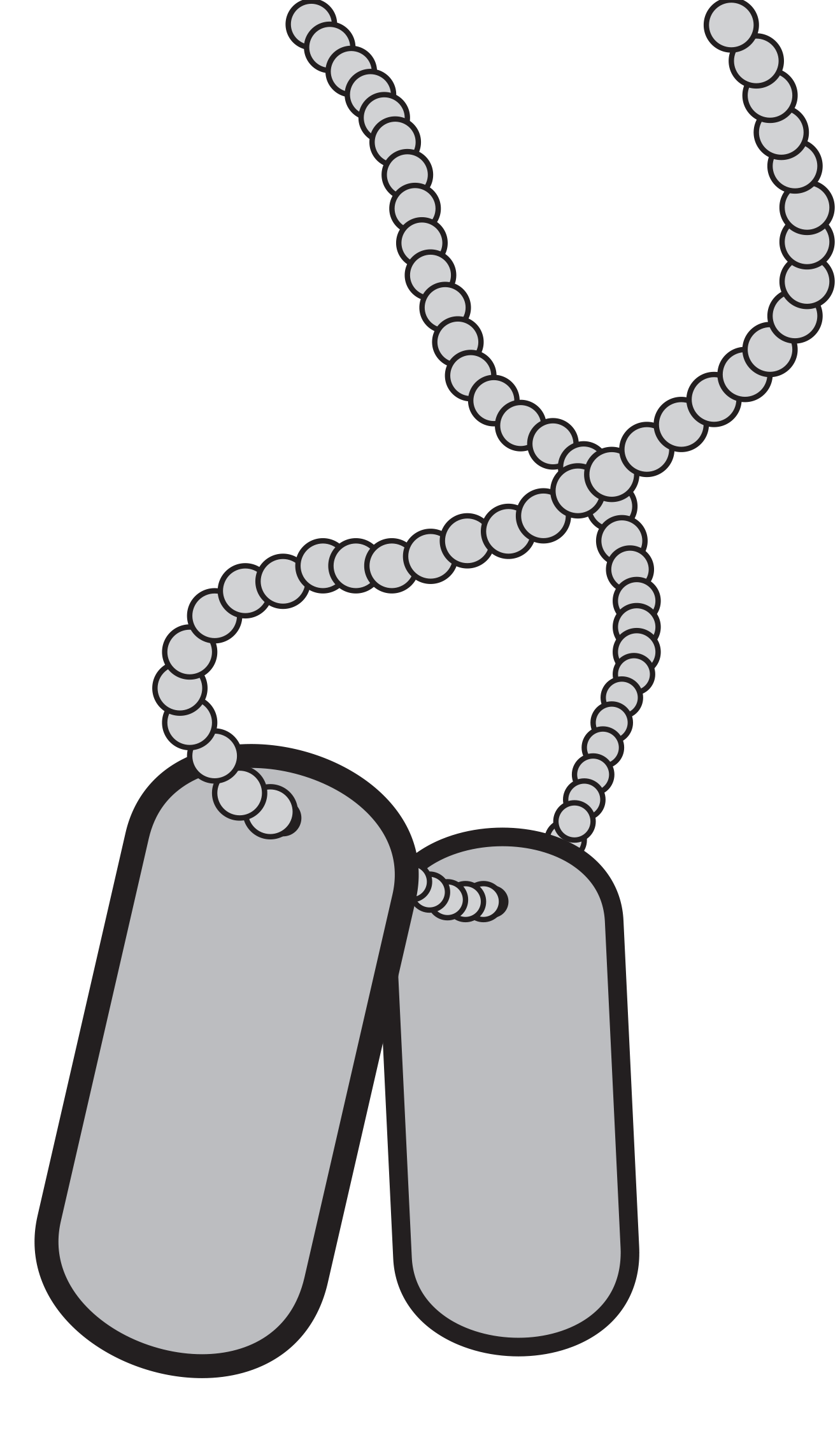 1319x2283 Military Dog Tags Picture Free