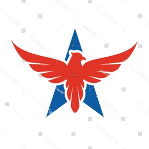 300x300 Stock Photo Military Star Emblem Isolated Icon Arenawp