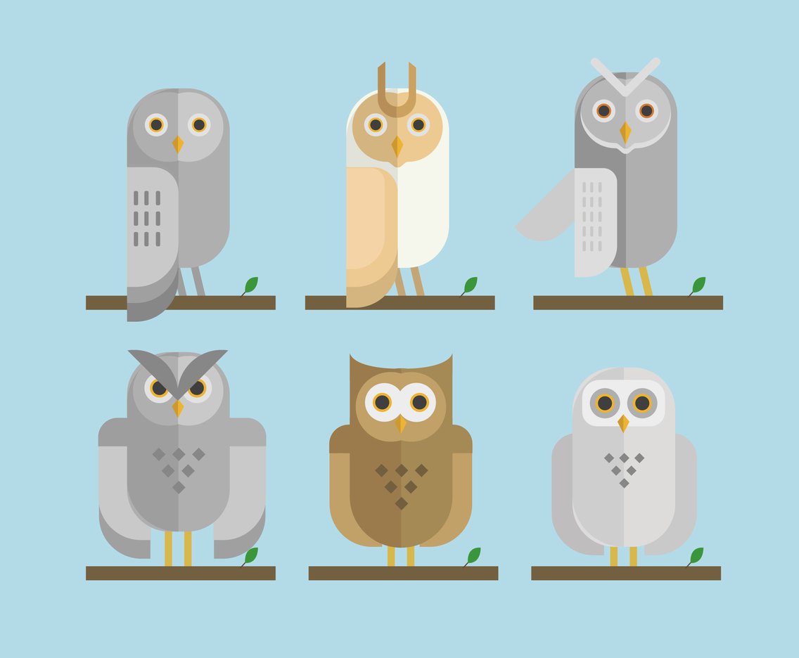 1136x936 Minimalist Owls Illustration Vector Vector Art Amp Graphics