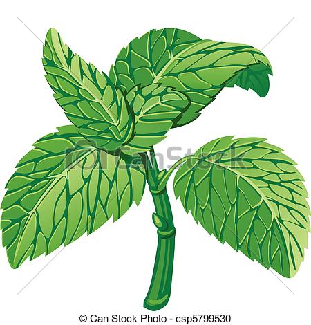 450x470 Leaves Clipart Peppermint Leaf