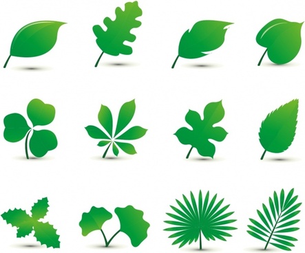 443x368 Mint Leaf Free Download Free Vector Download (3,640 Free Vector