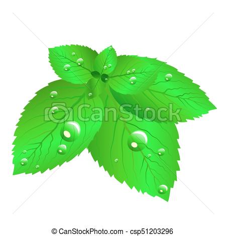 450x470 Fresh Green Mint Leaves Isolated On White Background.