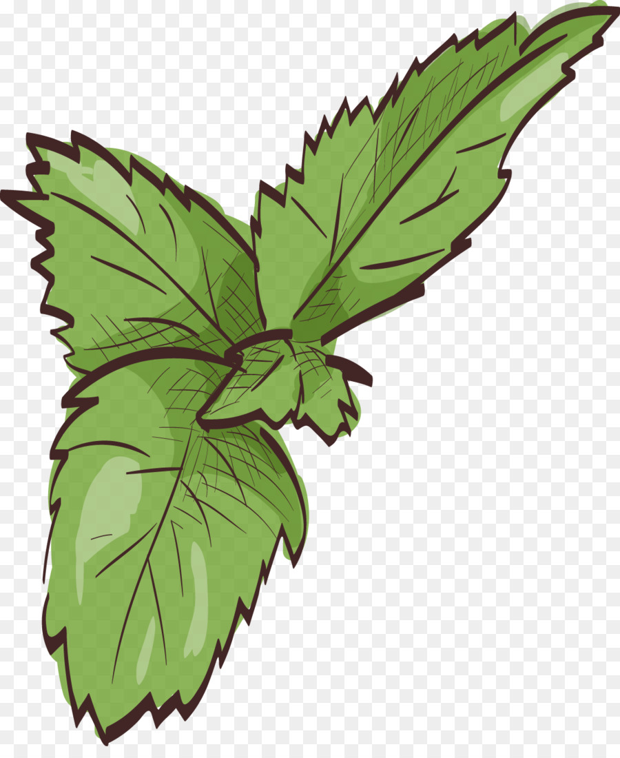 900x1100 Leaf Mint Euclidean Vector