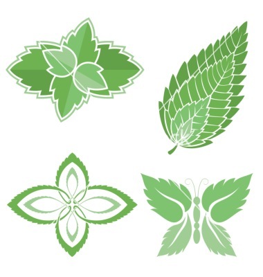 380x400 Leaves Clipart Peppermint Leaf