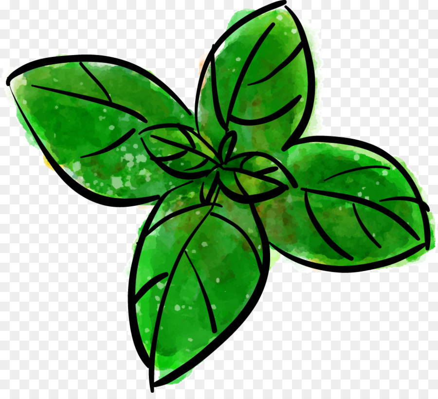 900x820 Mint Computer File