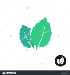 236x251 Mint Vector