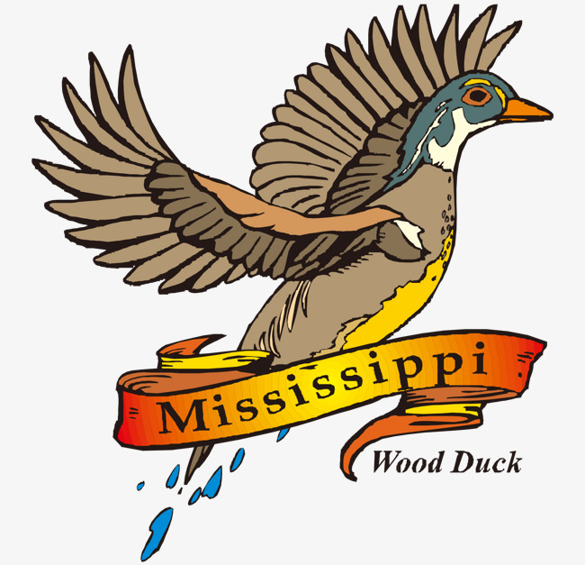 650x627 Vector Beautiful Wings Of Mississippi North American Mandarin