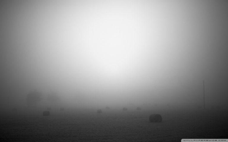 768x480 Free Images, Vector Wallpapers, Abstract Vector, Abstract Art