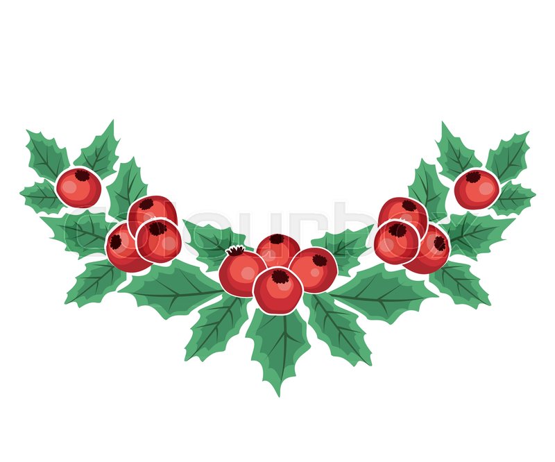 800x666 Christmas Vector Illustration Of Decorative Branches And Berries