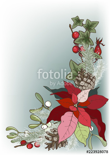 354x500 Composition Of Christmas Plants, Poinsettia, Holly, Cones, Ivy And