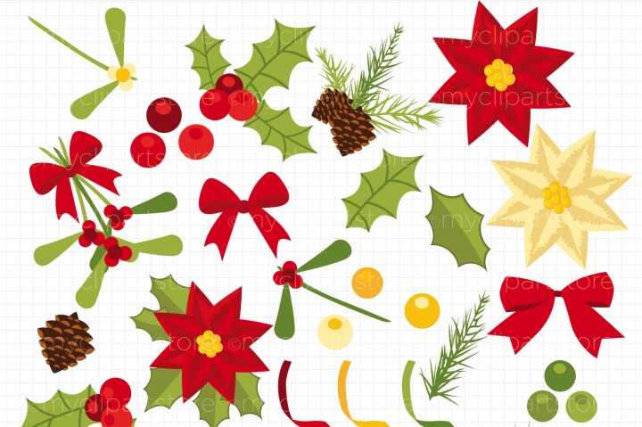 720x479 Christmas Flowers