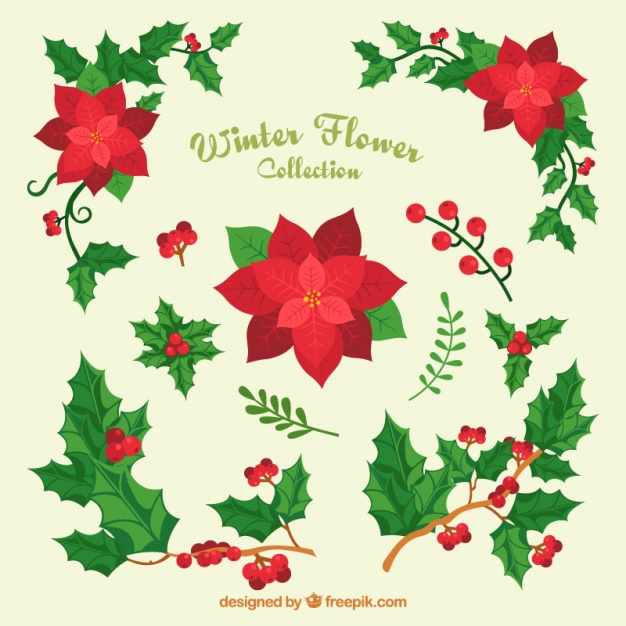 626x626 Variety Of Christmas Flowers And Mistletoe Vector Free Download