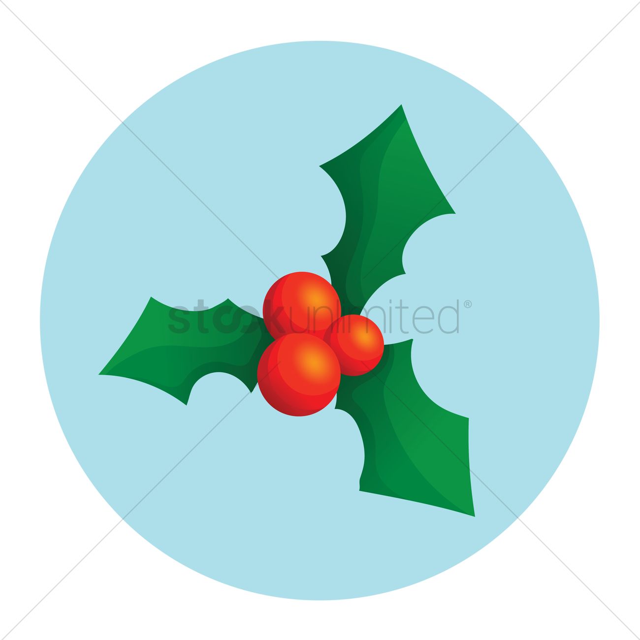 1300x1300 Christmas Mistletoe Vector Image