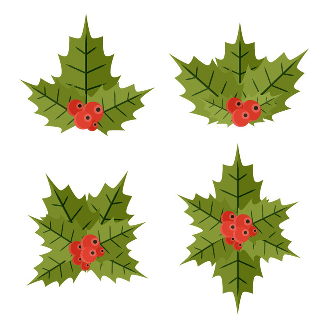 650x650 Cartoon Mistletoe Vector Material Free Download, Files Heypik