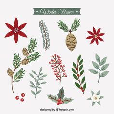 236x236 Image Result For Mistletoe Vector Free Ink Amp Paper