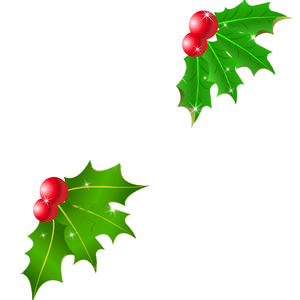 300x300 Mistletoe Ilustrator Design Vector