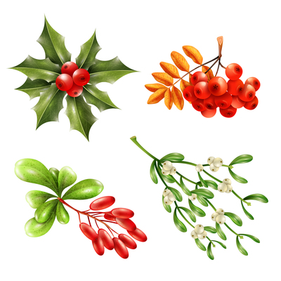 400x400 Mistletoe On Curated Vector Illustrations, Stock Royalty Free